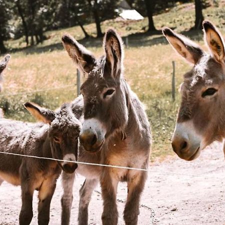 ロガシュカ・スラティナ Ranc Stojnsekヴィラ エクステリア 写真