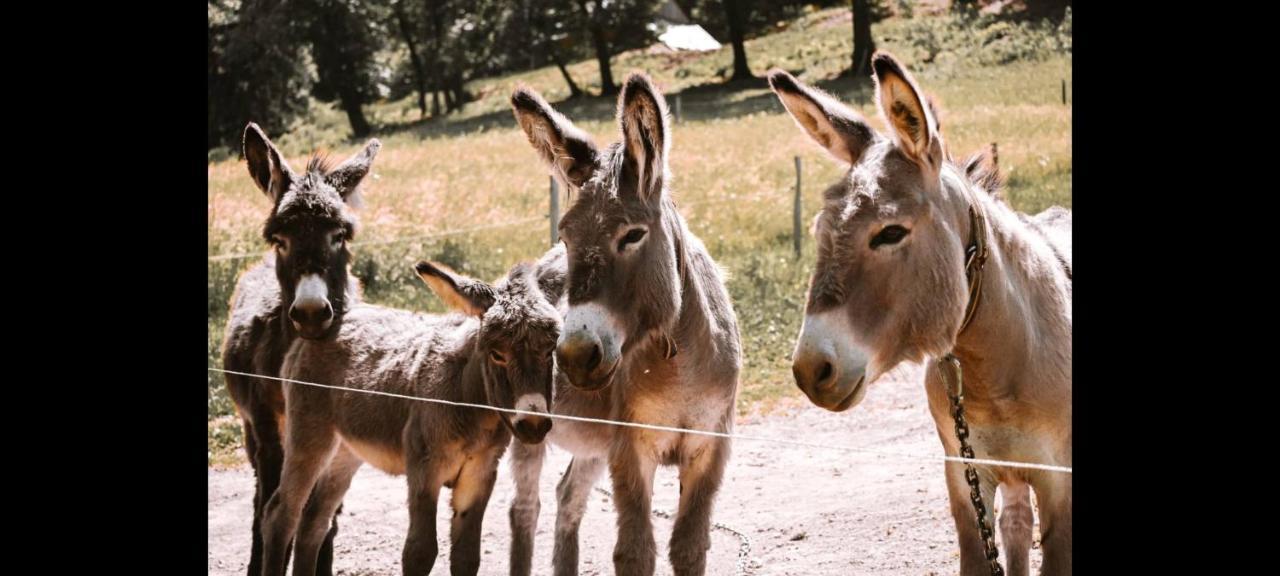 ロガシュカ・スラティナ Ranc Stojnsekヴィラ エクステリア 写真